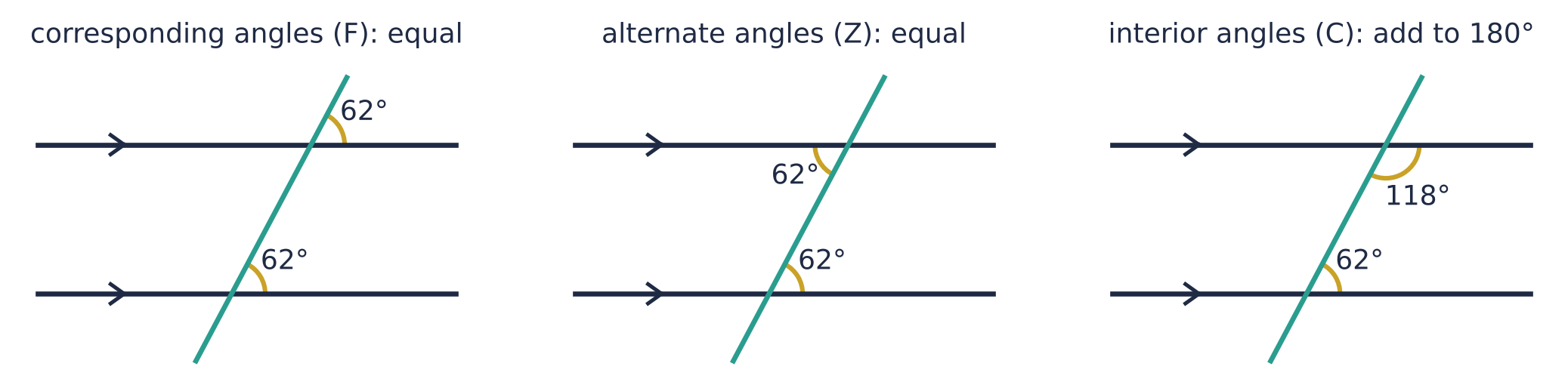 Two parallel lines cut by a transversal at 62°. Corresponding angles are both 62°; alternate angles are both 62°; interior angles are 62° and 118°, adding to 180°.