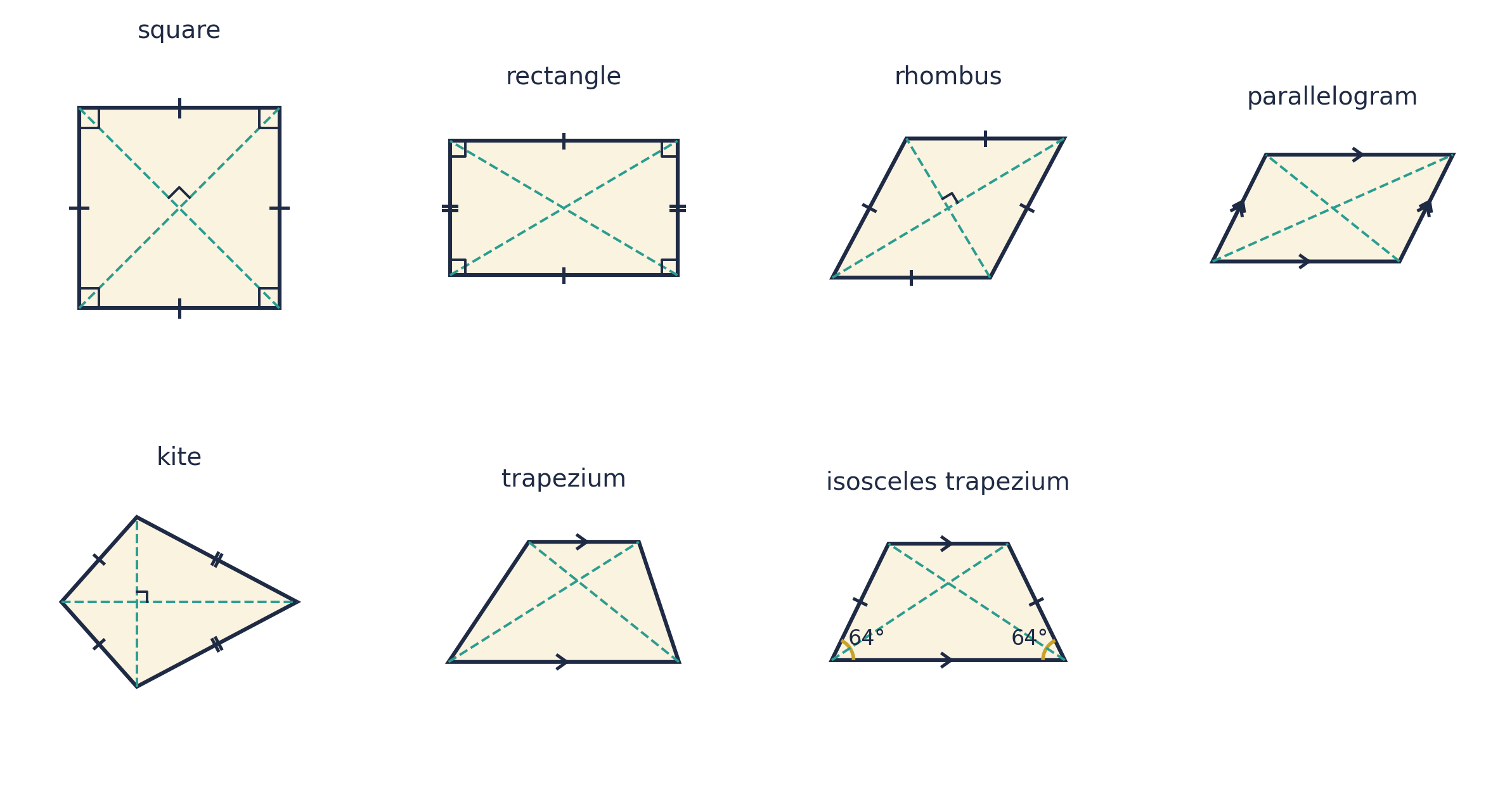 The seven special quadrilaterals with their marks and dashed diagonals: a square (four equal sides, four right angles, diagonals at right angles); a rectangle (opposite sides equal, four right angles); a rhombus (four equal sides, diagonals at right angles); a parallelogram (both pairs of opposite sides parallel); a kite (two pairs of equal sides next to each other, diagonals at right angles); a trapezium (one pair of parallel sides); an isosceles trapezium (one pair of parallel sides, the other two sides equal, base angles both 64°).