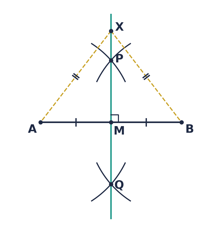 Perpendicular bisector of AB: arcs of the same radius from A and from B cross at P and Q; PQ meets AB at its midpoint M at right angles. X on PQ is the same distance from A and B.